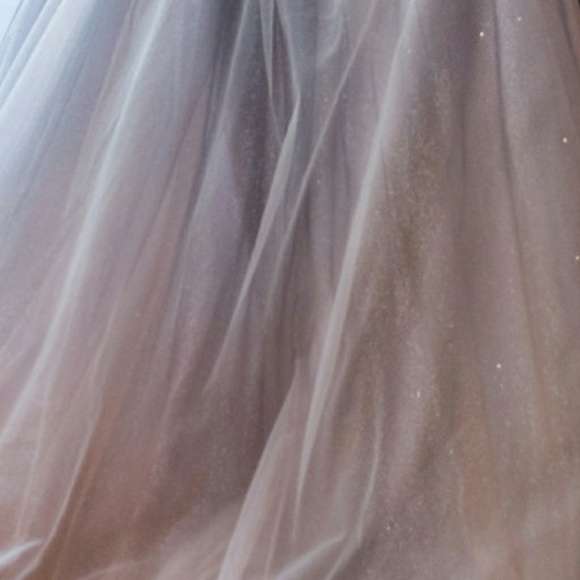 Blush/mauve or blue floral beaded ombre tulle a line dress - Picture 3 of 8